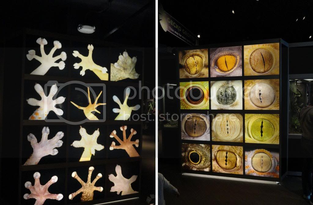 displays_zps4d040ca1.jpg