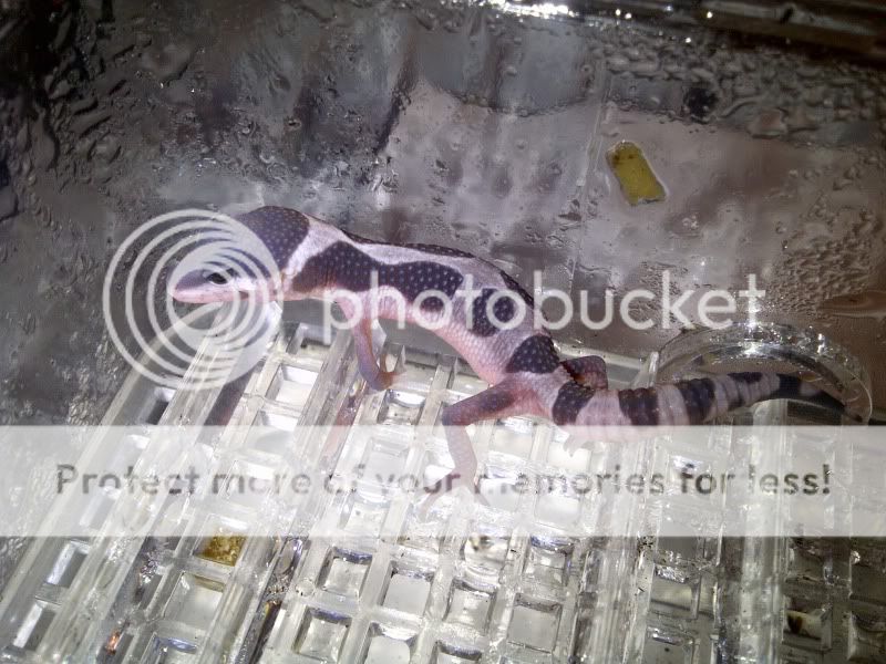 IMG-20110809-00041.jpg