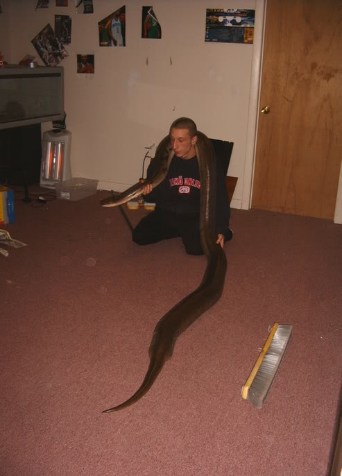 Picture332.jpg