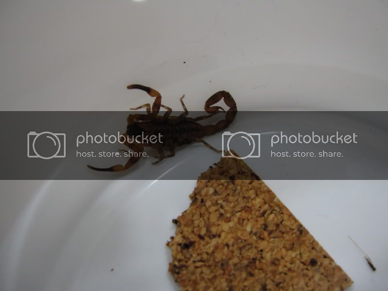 IMG_0080.jpg