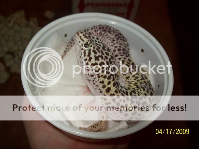 100_1666.jpg