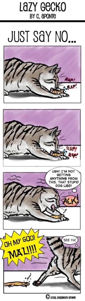 lazygecko7.jpg
