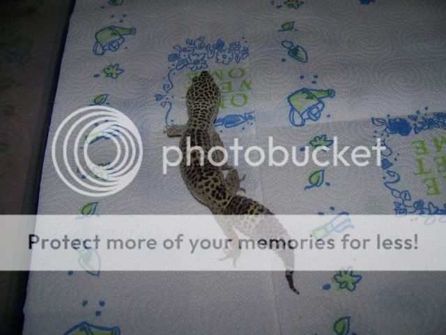 100_2504.jpg