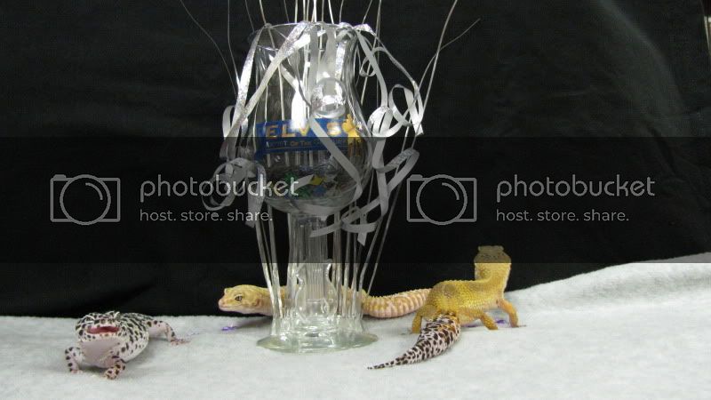 IMG_1594.jpg