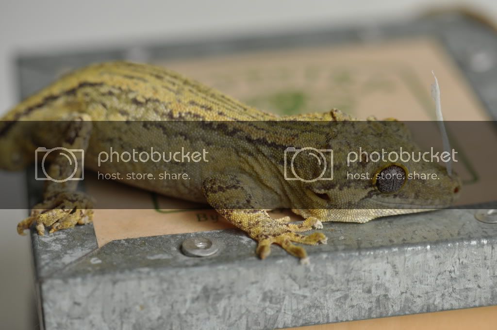 DSC_0013.jpg