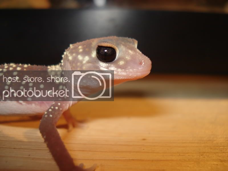 cutie003.jpg
