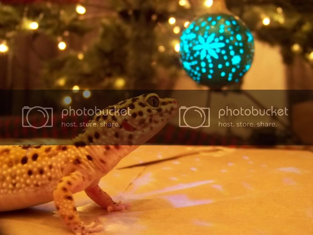 December.jpg