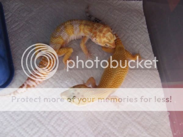 DSCF2890.jpg