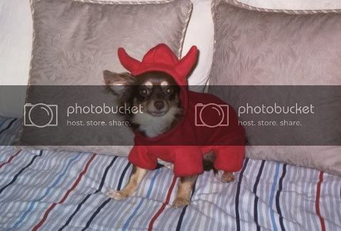 PeanutDevil.jpg