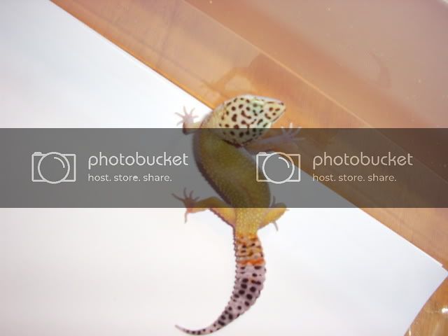 PICT0111.jpg