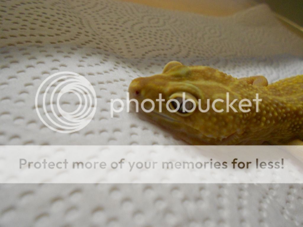 DSCN3842.jpg
