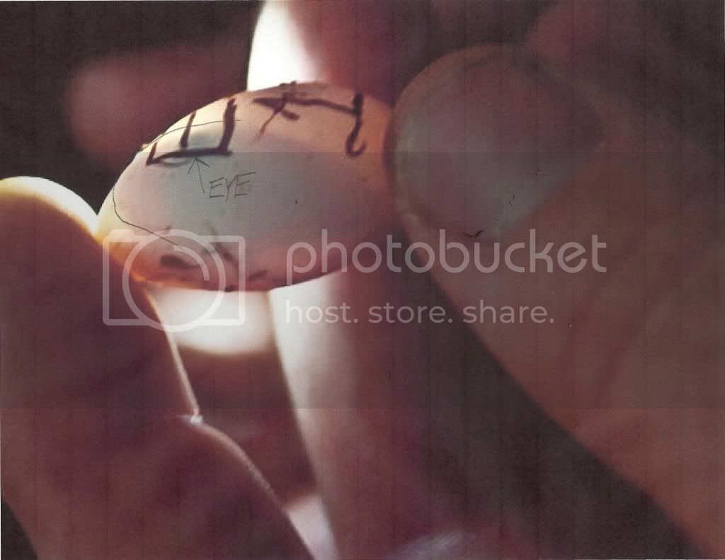 scan0001.jpg