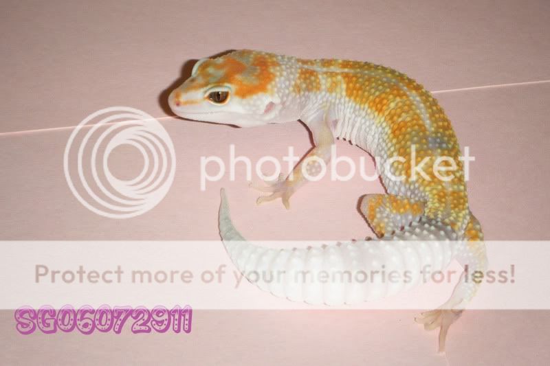 DSCF1510.jpg