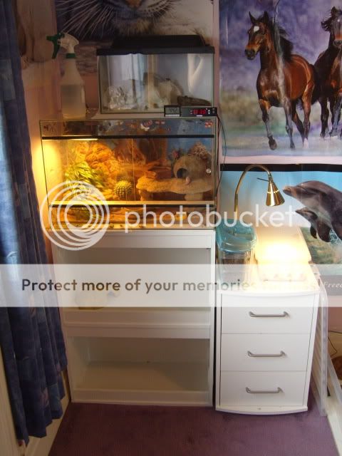 Piccies345.jpg