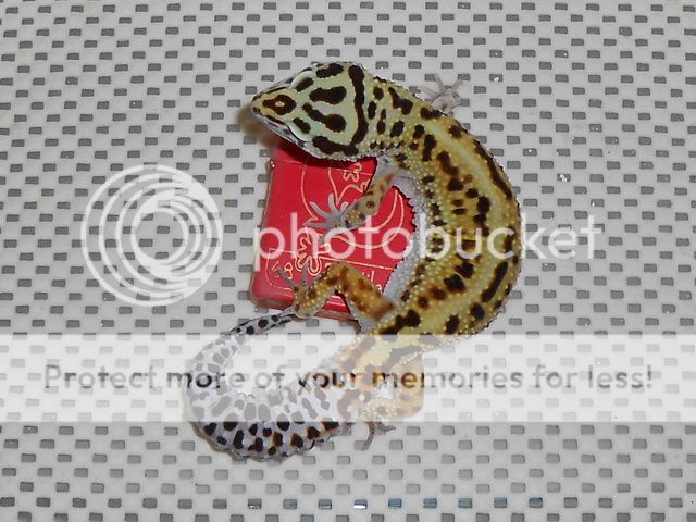 DSCN0755.jpg