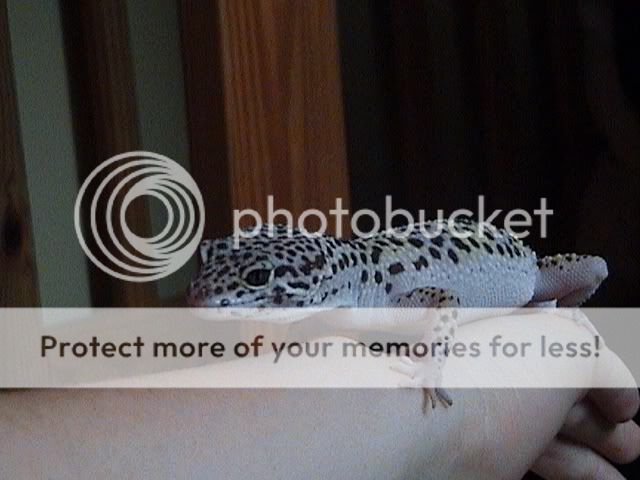 DSC000521.jpg
