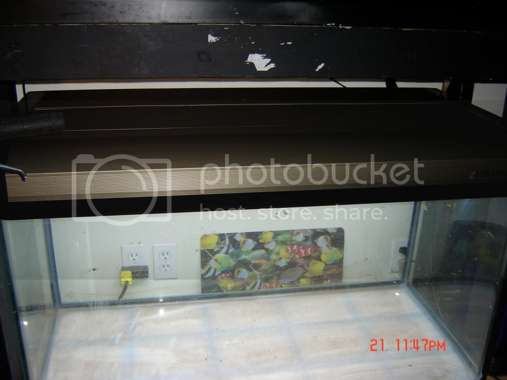 DSC03793.jpg