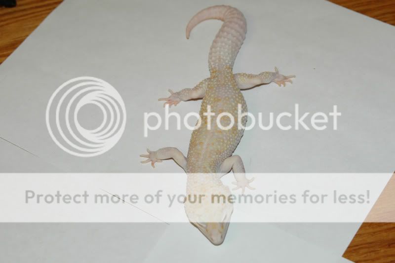 DCC_1491.jpg