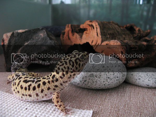 Marly0331_07.jpg