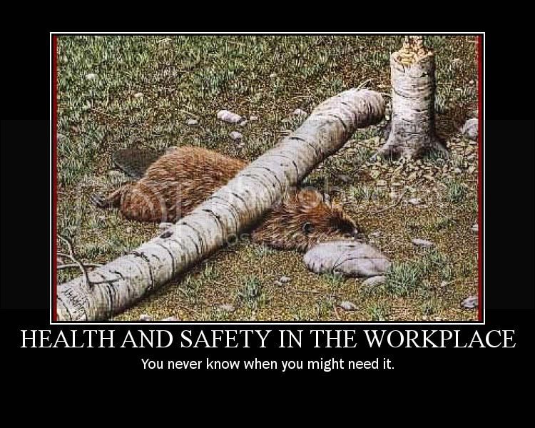 health-and-safety-in-the-work-place.jpg