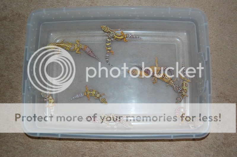 DSC_1032.jpg