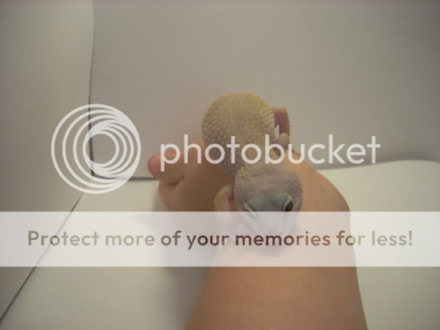 DSCN1331.jpg