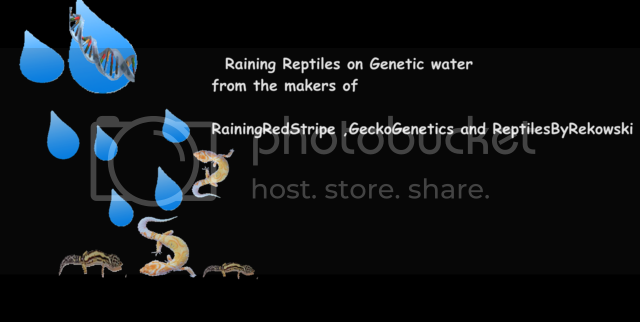 Geneticwater.png