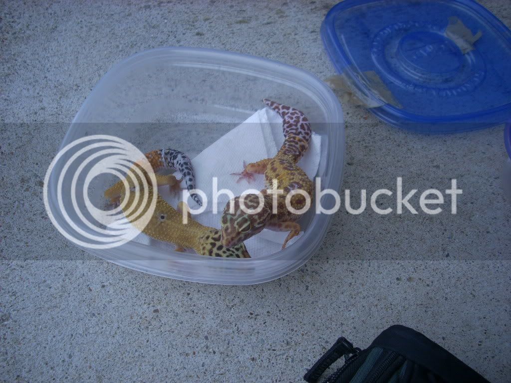 DSCN0330.jpg