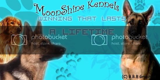 MoonShineKennels.jpg