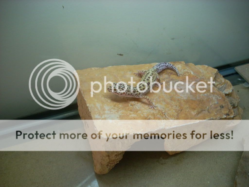 DSCN0114.jpg