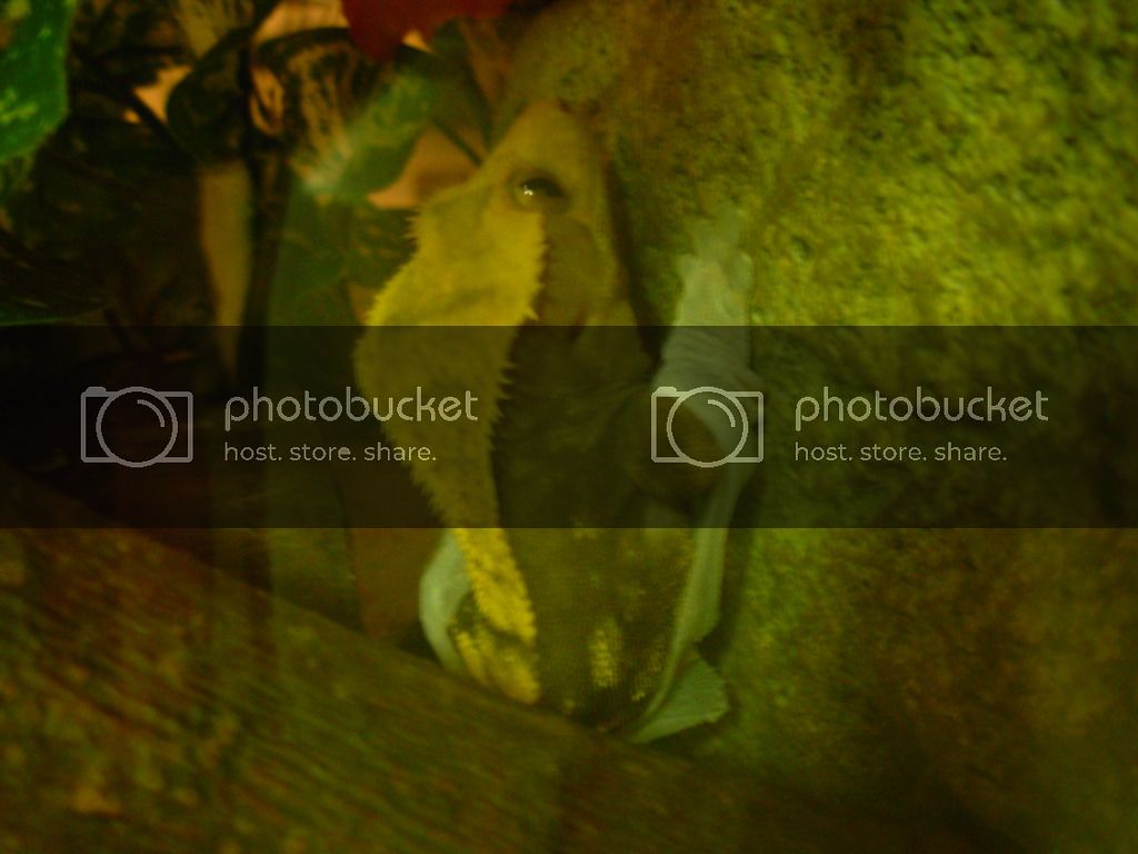 DSCN0963.jpg