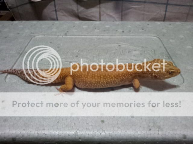 20120516_153355.jpg