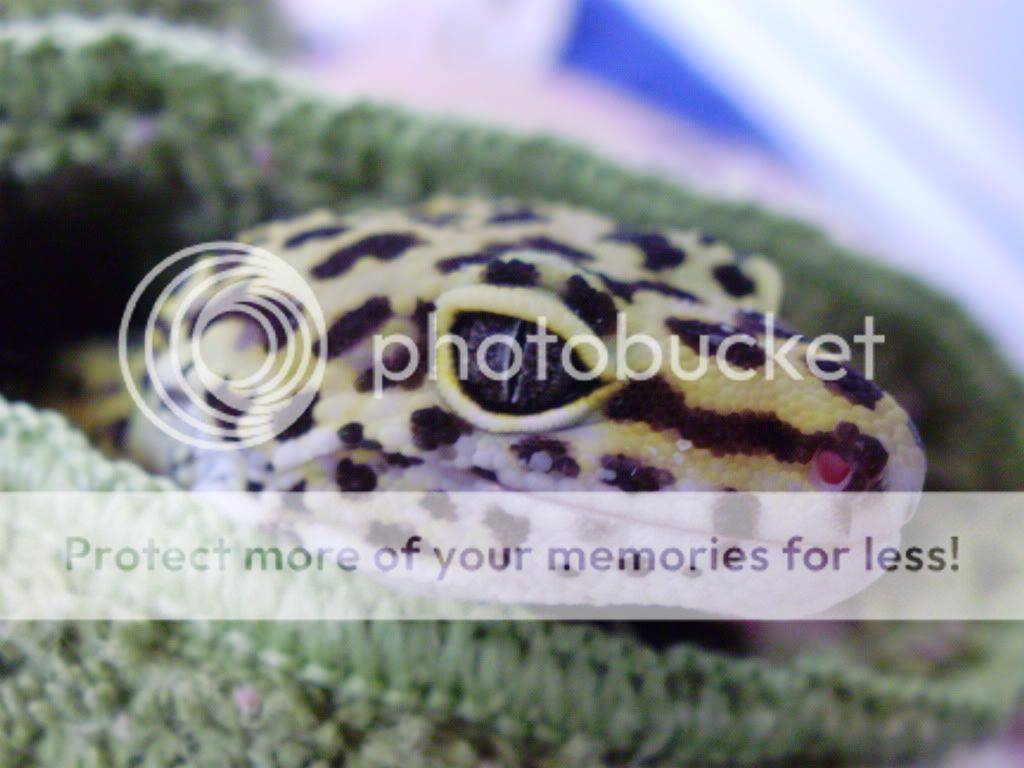 july09006.jpg