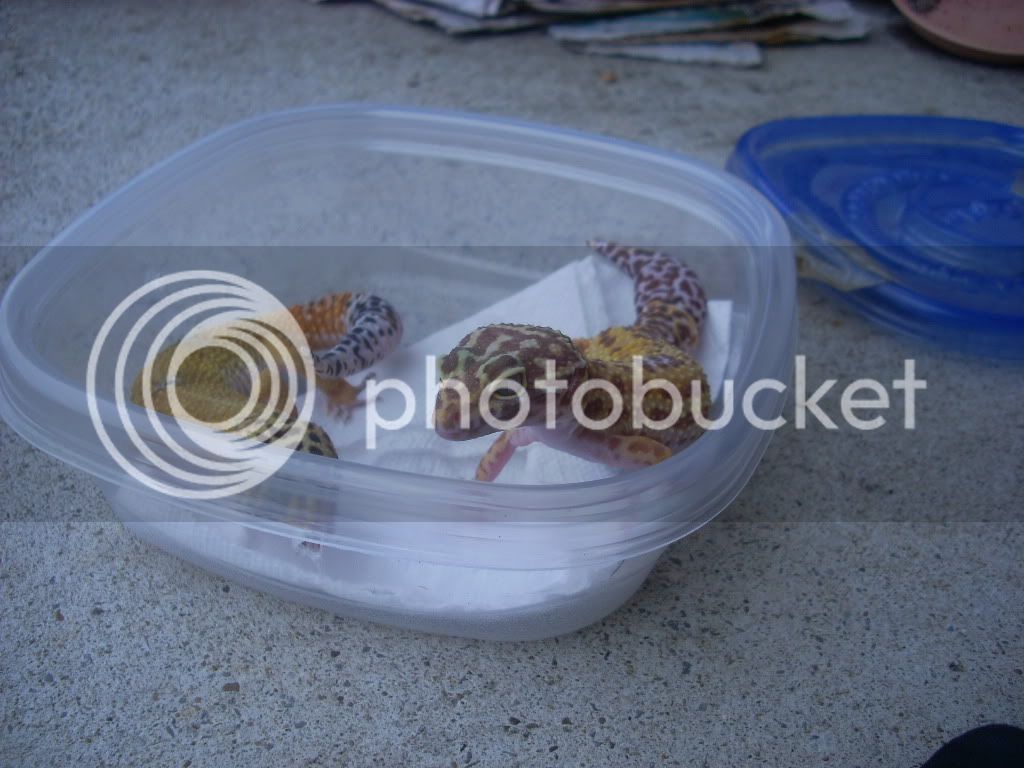 DSCN0328.jpg