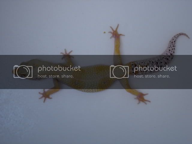 DSC04523.jpg