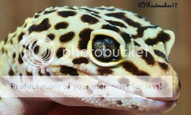 ooo082-Copy.jpg