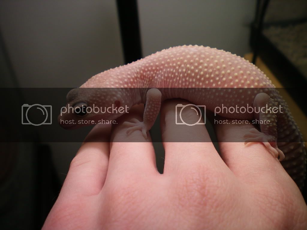100_0040-1.jpg