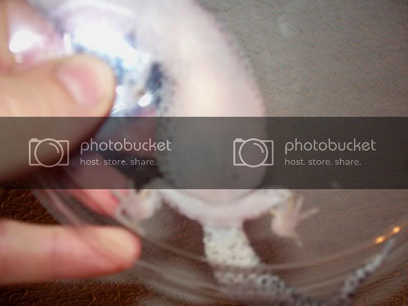 100_0024.jpg