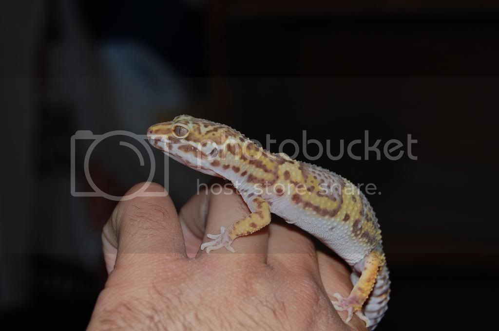 DSC_0090.jpg
