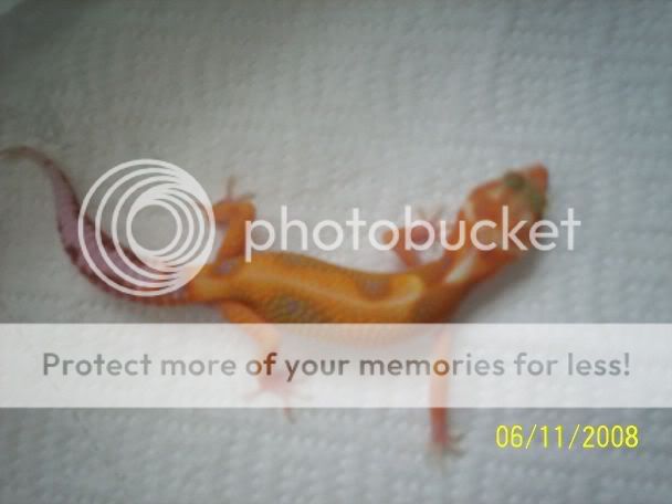 100_2387.jpg