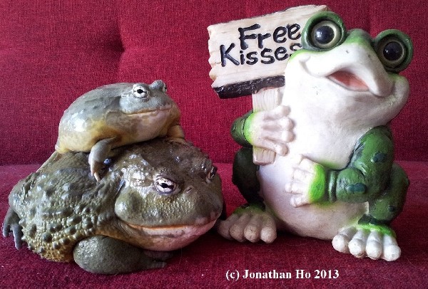 431valentinesdayfrogs-med.jpg