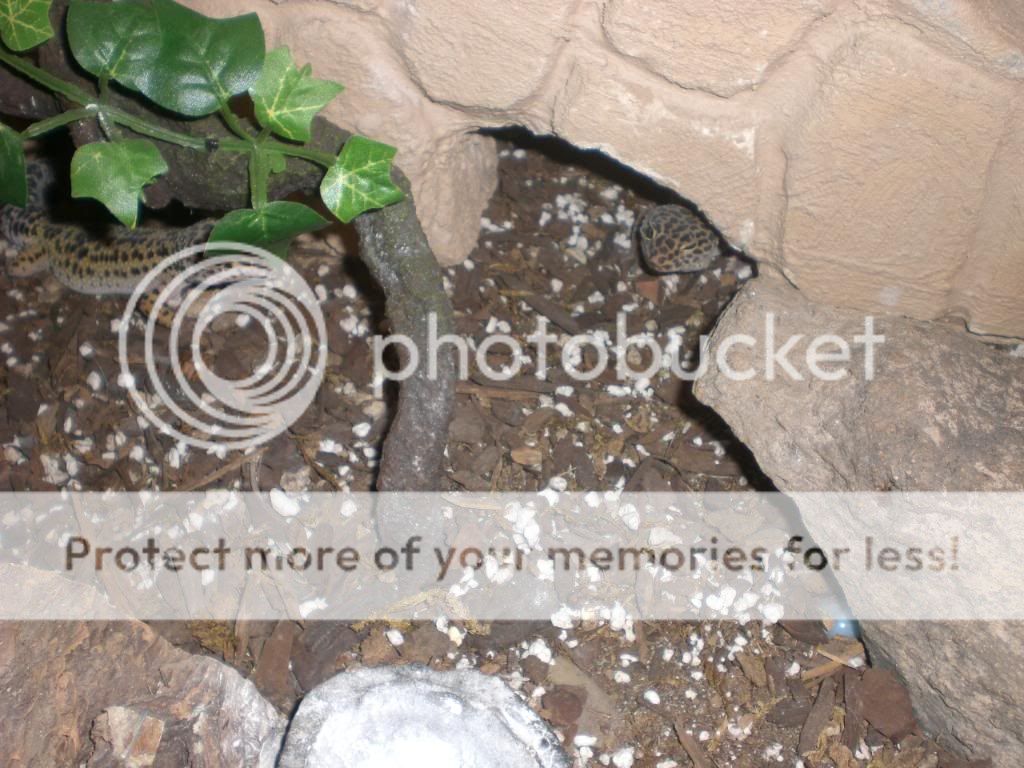 junepix018.jpg