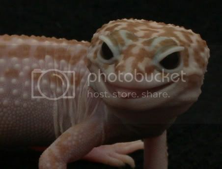 008-sucker-002.jpg
