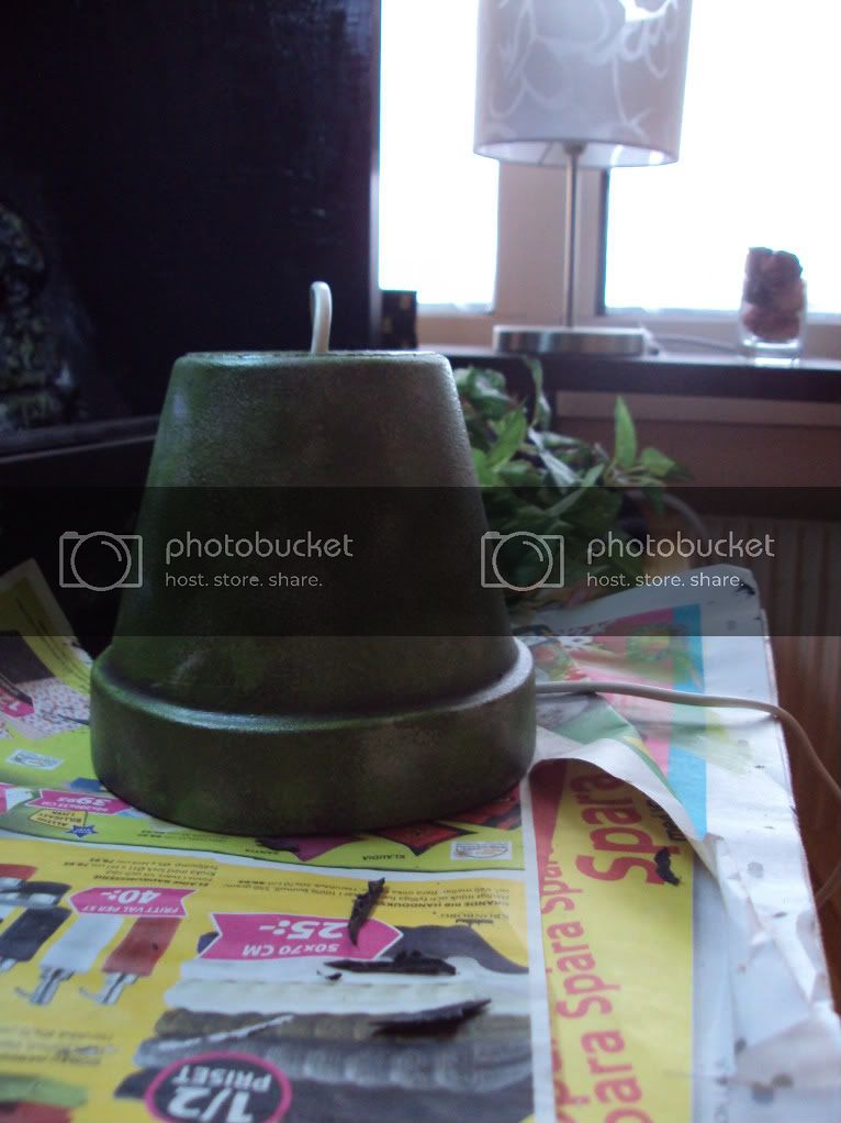 DSC01040.jpg
