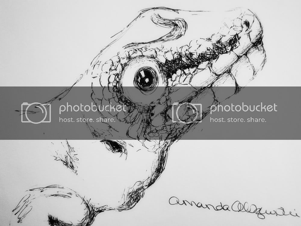 gecko-sketch.jpg