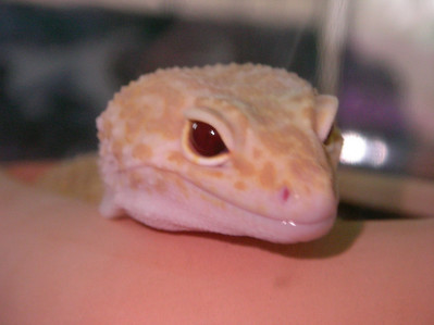 575633429_RtFxP-S.jpg