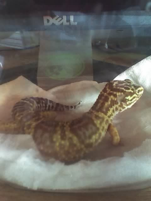 08-23-07_1752.jpg