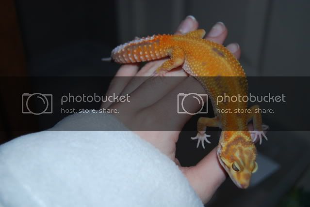 DSC_1302.jpg