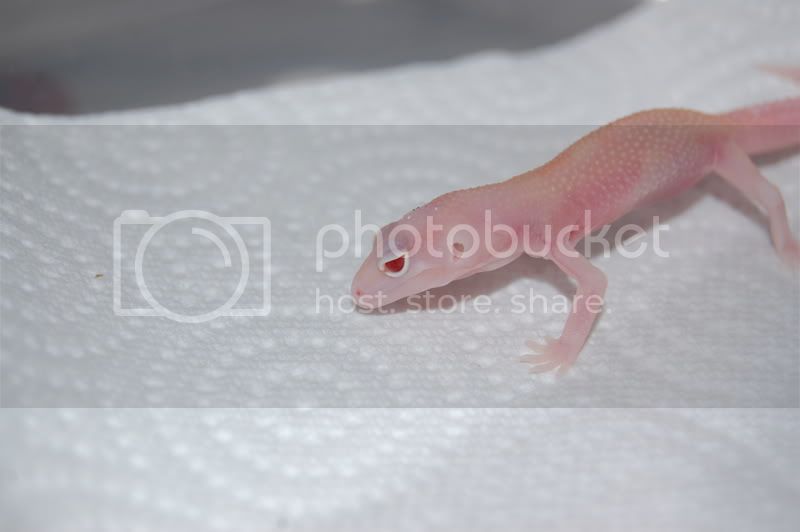 DSC_1180.jpg