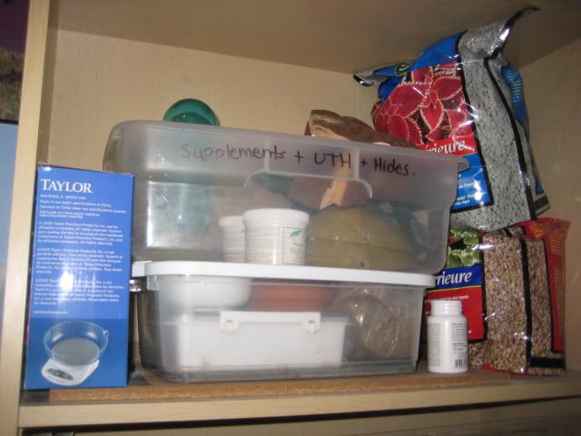IMG_3065.jpg